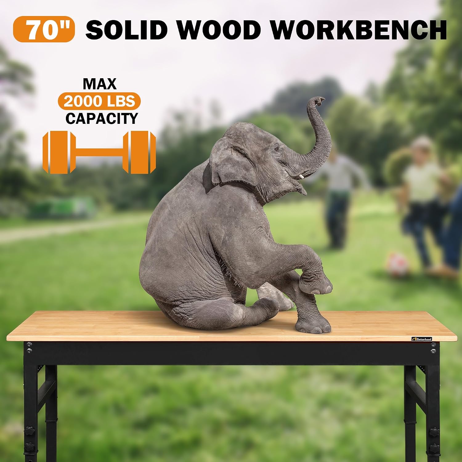 Adjustable Rubberwood Workbench